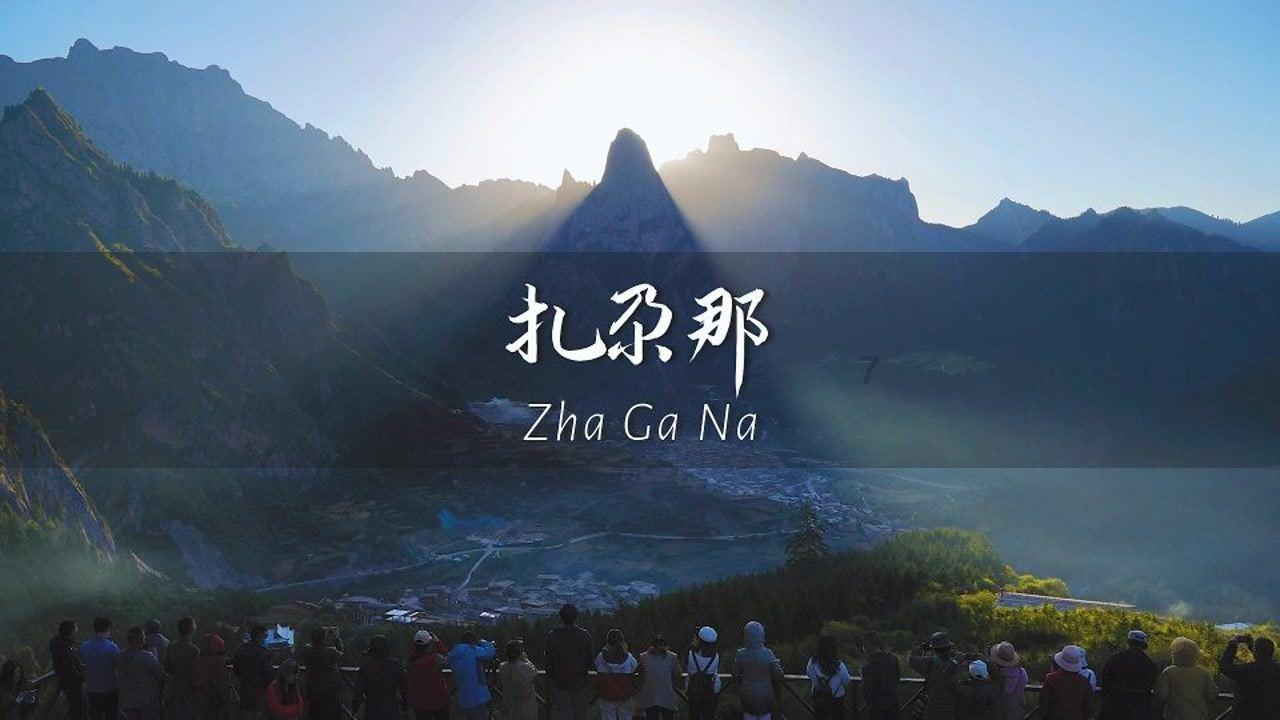美国航空期权聚焦：1月29日成交8.48万张，未平仓合约321.47万张