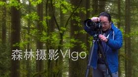 空闲农场