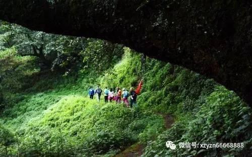 使命召唤OL