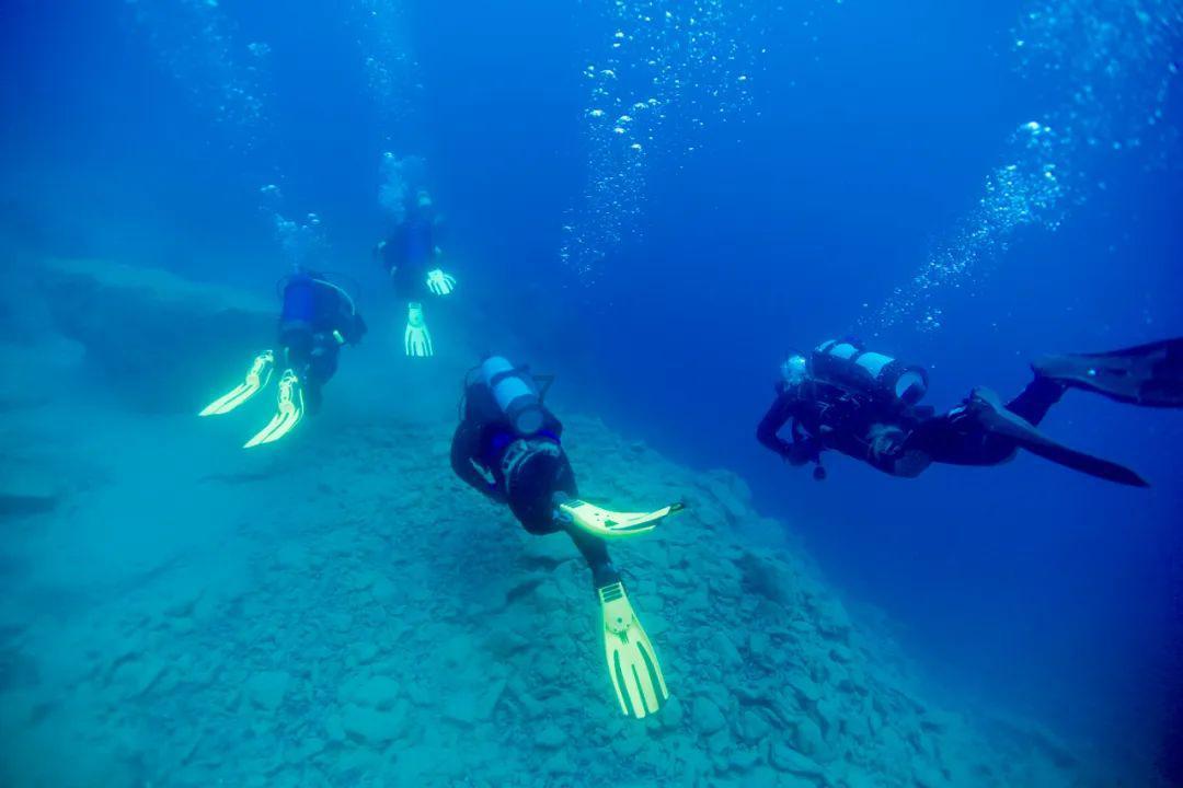 深海迷航
