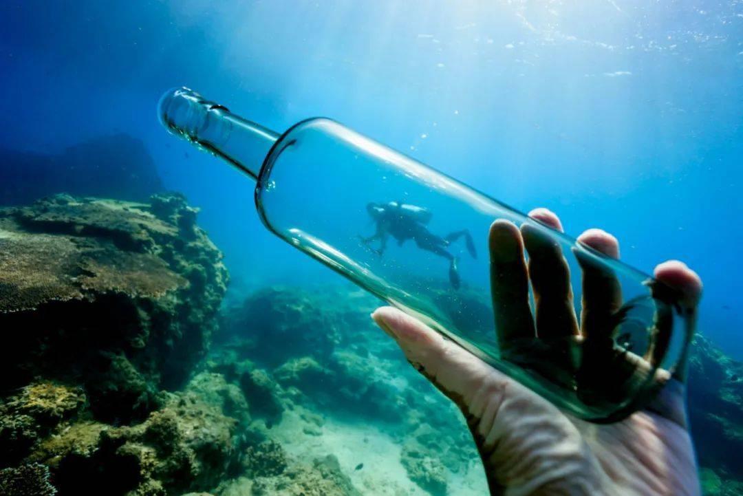 动物记忆大翻牌