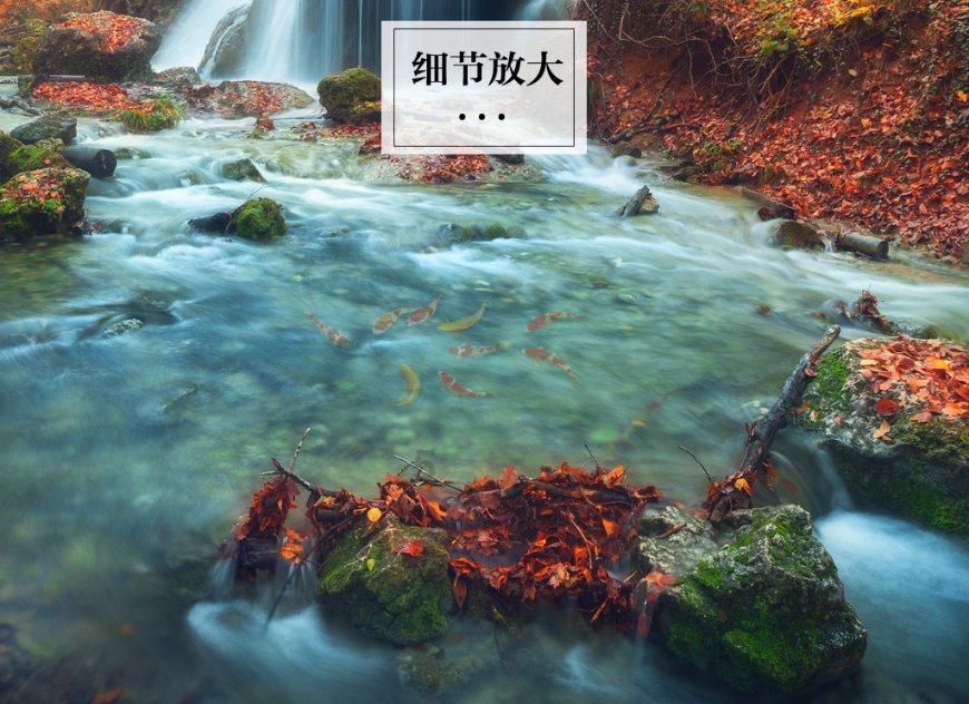 云上的歌