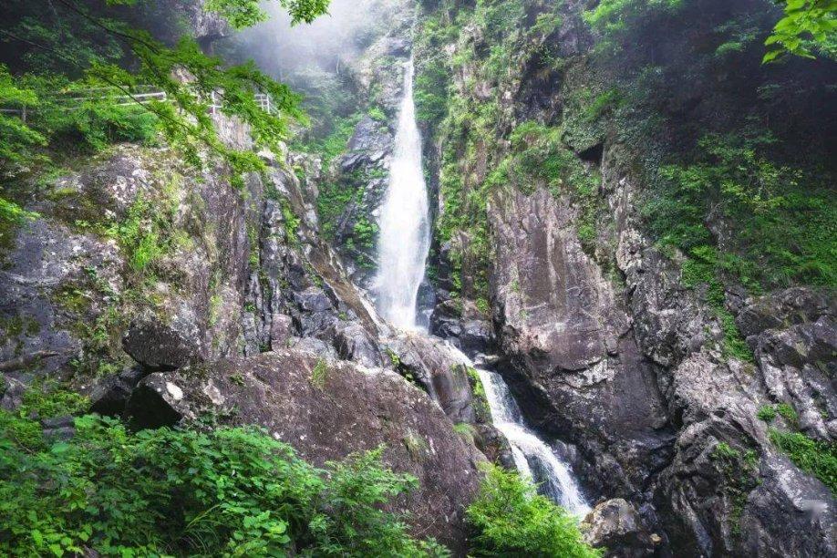 苹果菠萝笔3