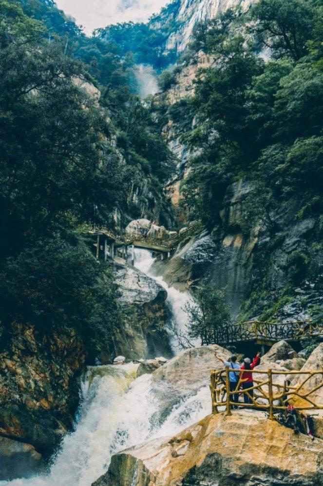 吃水果的蛇