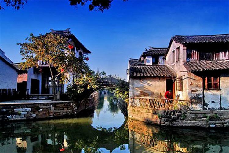 细胞分裂5